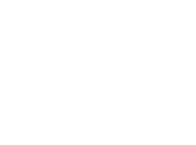 Piccolio_logo